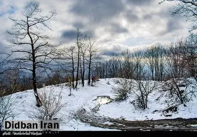 یک اتفاق عجیب: دمای هوا در ییلاقات گیلان به حدود ۴۰ درجه رسید