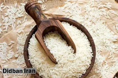 قیمت برنج عجیب شد/ نرخ واقعی برنج چقدر است؟