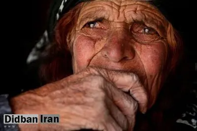 نتایج پژوهش‌های صورت گرفته نشان داد؛ شیوع ۵۶.۴ درصدی سالمندآزاری در ایران