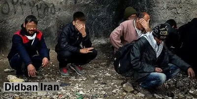 خسارت نشئگی/ سالانه بیش از ۲۰۵ هزار میلیارد تومان خرج مواد مخدر می‌شود/ تریاک از سبد مصرف معتادان پر کشید