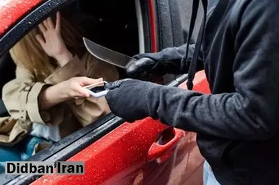 وقتی‌که شک پلیس به عابر پیاده درست از آب درآمد