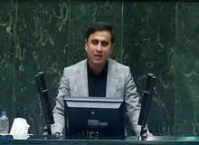 سعیدی نماینده مجلس: چگونه در برابر مرغ ۱۰۰ هزار تومانی سکوت کردیم؟