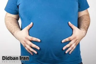 ۸ میلیون ایرانی دچار اضافه وزن و چاقی هستند