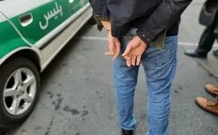 عامل کپی‌برداری از کارت بانکی نیوشا ضیغمی دستگیر شد