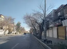 گزارش میدانی ایسنا از اعتراضات در شیراز؛ بازار وکیل و بازارهای فرعی تعطیل بودند/ عضو شورای بازار نو شیراز: بازاریان همیشه نسبت به انقلاب وفادارند