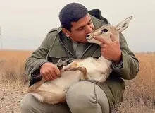 وکیل برومند نجفی اظهارات سخنگوی قوه قضائیه را تکذیب کرد/ نوشا میرجعفری: تیراندازی دقیقا در منطقه حفاظت شده بیستون رخ داده است