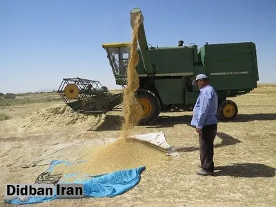 خروج گندم از سیستان و بلوچستان بدون مجوز ممنوع اعلام شد