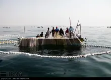 ماهیگیری سبز