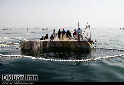 ماهیگیری سبز