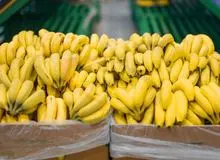 موز چرا گران شد؟ / دولت اجازه واردات موز نمی دهد