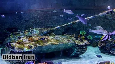 تصاویری زیبا از بزرگترین آکواریوم ایران

