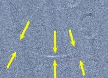 نخستین تصاویر از هلال عید فطر 