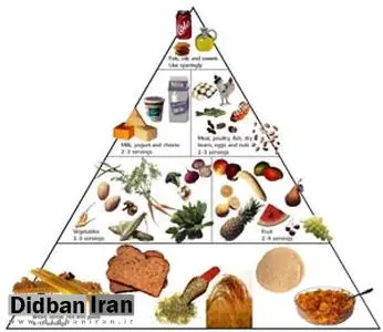 هرم غذایی مطلوب ایرانیان منتشر شد/افزایش چاقی در کودکان زیر 2سال ایرانی