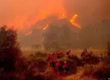 ۲۰۲۴  گرم‌ترین سال ثبت شده در تاریخ شد