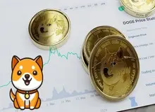 آیا قیمت بی بی دوج وابسته به دوج کوین است؟