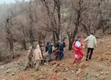 مجروح شدن یک محیط‌بان در کهگیلویه و بویراحمد با «شلیک مستقیم» شکارچیان غیر مجاز