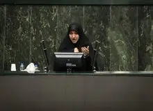 رفیعی: نگه‌داشت درخت خیلی مهم‌تر از کاشت آن است