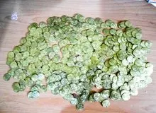 کشف ۵۰۳ سکه عتیقه قاچاق توسط پلیس راه‌آهن
