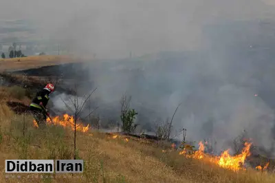 اعلام جزئیات حادثه آتشسوزی در مراتع طارم