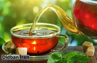 تحقیق جدید: نوشیدن روزانه چای می‌تواند خطر پوکی استخوان را کاهش دهد