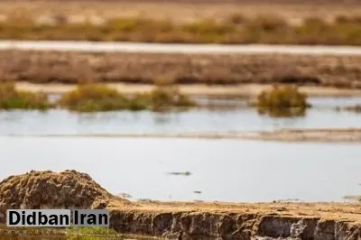 اهدای سند مالکیت زمینهای حاشیه تالاب انزلی به ۵ هزار خانوار ساکن در حاشیه تالاب