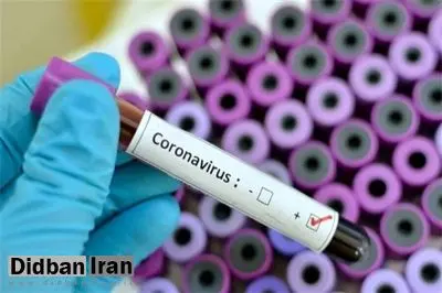 کووید ۱۹؛ شایعترین ویروس بیماریهای تنفسی در خرداد امسال