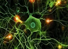 پرهیزهای غذایی در بیماری MS!