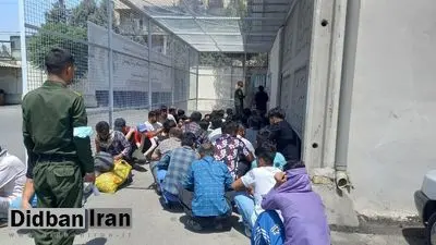 دستگیری ۲۴۳ تبعه بیگانه غیر مجاز در زابل