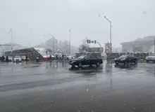 بارش برف و باران در تهران/ کاهش دما از فردا