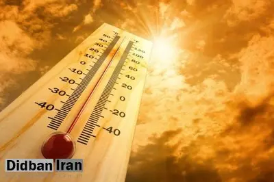 گرمازدگی میتواند تشکیل ارگانهای جنین را تحت تاثیر قرار دهد