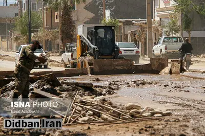 نماینده پلدختر:  تا الان خسارتی به کشاورزان پرداخت نشده است