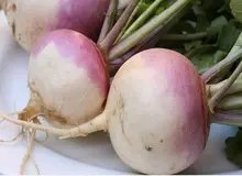 «اُمیکرون» شلغم را گران کرد