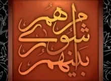 ردصلاحیت شده هابا فشارسیاسی دنبال تایید خود هستند/ شورا جای ورزشکاروهنرمندنیست