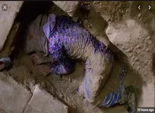 مشکل این "خانه پدری" چیست؟