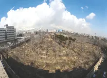 گزارشی از مرگ اجباری درختان باغ «جهان» فرمانفرما/ هزار اصله درخت در باغ  دو هکتار و نیمی پونک در حال نابودی است 