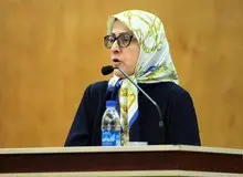 کولایی: در کنفرانس امنیتی تهران به دنبال بررسی جنبه های نرم امنیت هستیم