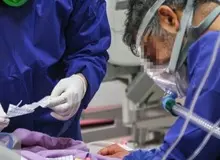 ۲۶۸ هموطن دیگر بر اثر ابتلا به کرونا جان باختند
