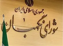 علی مطهری: ما دو شورای نگهبان نداریم
