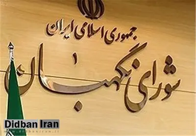 علی مطهری: ما دو شورای نگهبان نداریم
