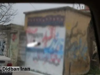 سازمان اطلاعات سپاه نینوا خبر داد؛ دستگیری ۲۳ نفر به دلیل شعارنویسی در گلستان