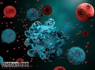 این سبزی خواص ضد سرطان دارد
