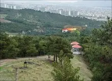  رد وعده شهرداری تهران؛ ساخت شهربازی در جنگل‌های لویزان، شدنی نیست!