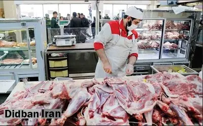 قیمت گوشت این‌گونه دو برابر شد/ واردکنندگان حاضرند میلیاردها تومان هزینه دموراژ محموله‌های گوشت روی آب را بدهند تا با تاثیر اسنپ‌بک گران‌تر بفروشند