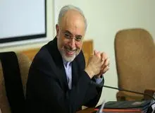 علی‌اکبر صالحی: بلوف نمی‌زنیم/ ما مثل کشورهای دیگر در خاورمیانه نیستیم
