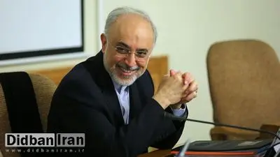 علیاکبر صالحی: بلوف نمیزنیم/ ما مثل کشورهای دیگر در خاورمیانه نیستیم