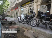 قطع بدون مجوز درختان خیابان فلسطین/ شهردار متخلف برکنار شد/ نژادبهرام: علت خشک شدن و قطع درختان را بررسی می کنیم
