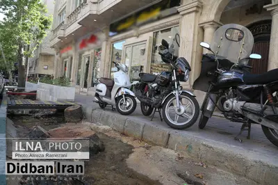 قطع بدون مجوز درختان خیابان فلسطین/ شهردار متخلف برکنار شد/ نژادبهرام: علت خشک شدن و قطع درختان را بررسی می کنیم
