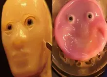 دستاورد جدید دانشمندان ژاپنی/ چهره‌های ربات‌ها با پوست زنده واقعی‌تر خواهد شد