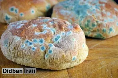 اگر نان یا میوه کپک زده خوردید چه اتفاقی برایتان می‌افتد؟