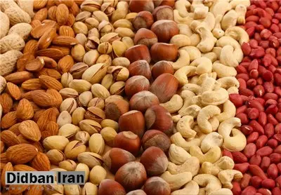 تخمه آفتابگردان چینی به اسم دانه‌های روغنی وارد کشور می‌شود/ فروشندگان اجازه گران‌کردن خشکبار در شب عید را ندارند